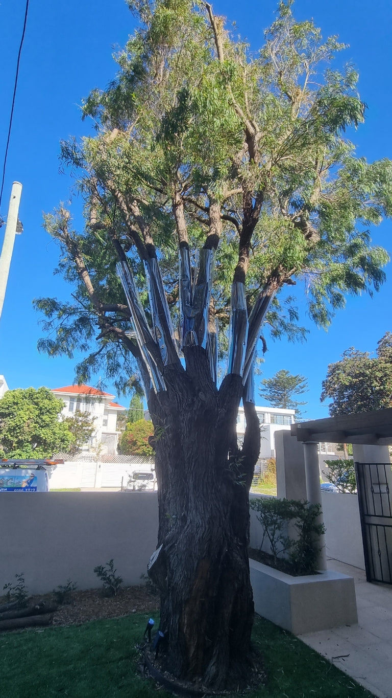install possum tree guard