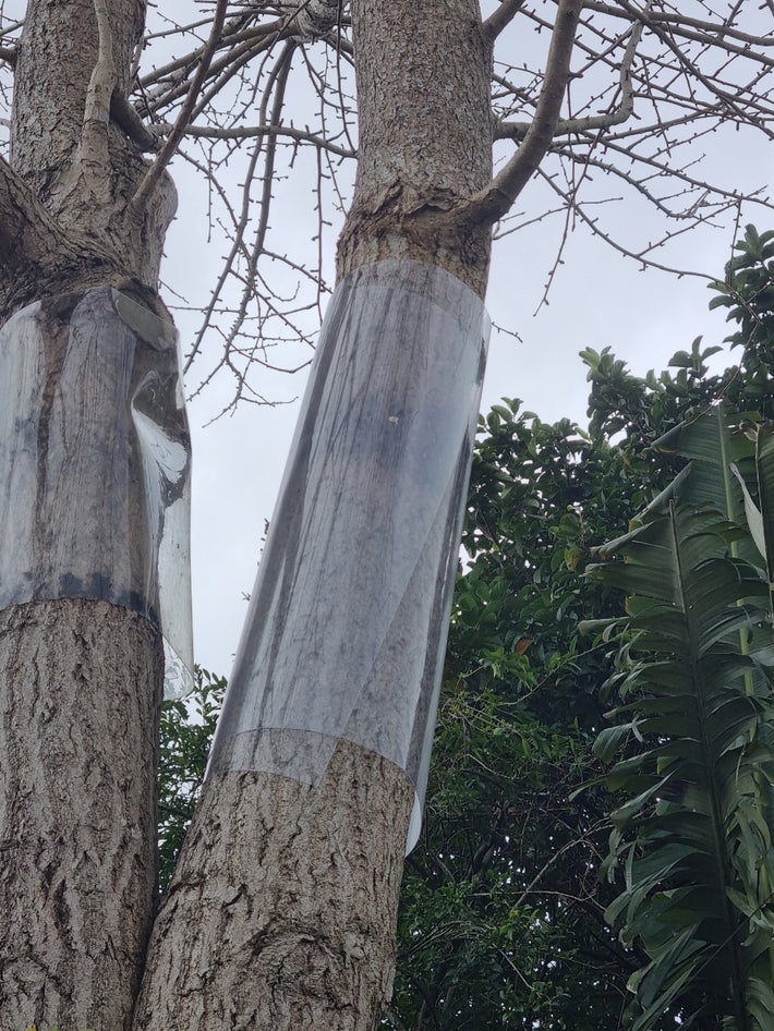 Possum Tree Guard – Possum Piper