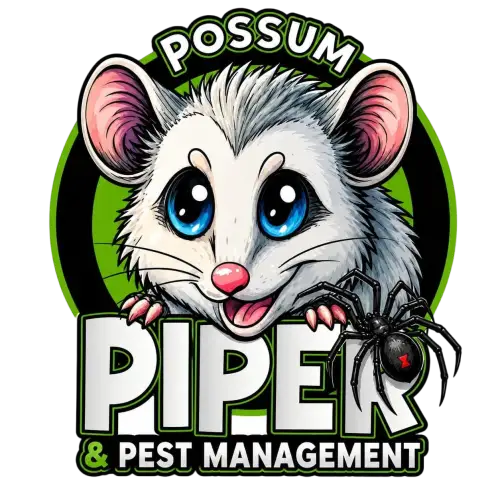 Possum Piper