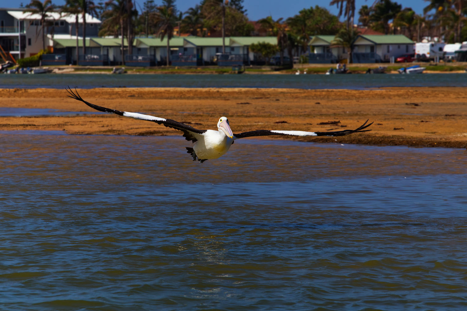 the central coast new south wales