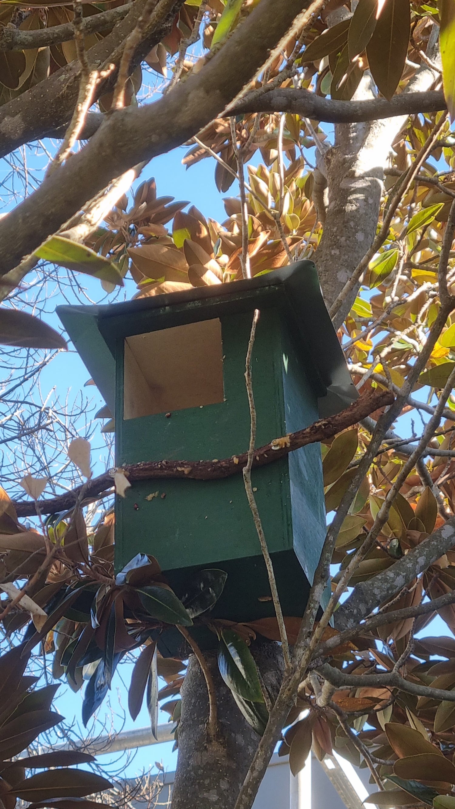 possum box house